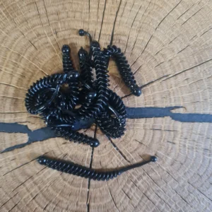 Andys Forellenköder Ruby