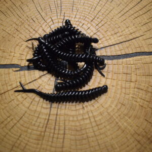 Andys Forellenköder Jacky