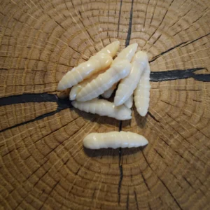 Andys Forellenköder Chucky