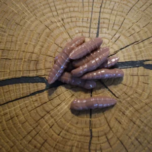 Andys Forellenköder Chucky