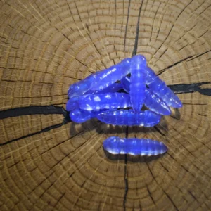 Andys Forellenköder Chucky