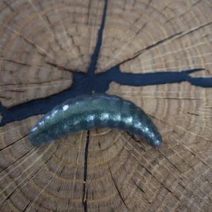 Specky Olivgrün funkelnd