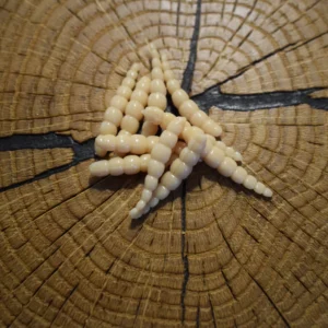 BaitRunner Bienenmade